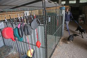 Volunteers with migrant animals