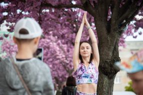 Sakura blossoms in Lviv