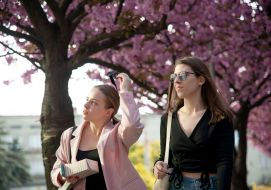 Sakura blossoms in Lviv