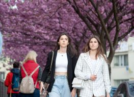 Sakura blossoms in Lviv