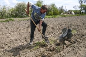 Чоловік з лопатою біля снаряду на полі в Чернігівській області