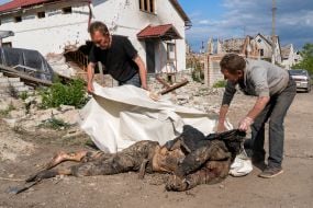 Exhumation of the corpses of the Russian occupiers in the village of Mala Rogan