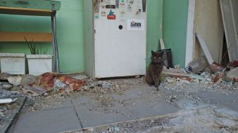 Destruction as a result of hostilities in Gorenka (Kyiv region)