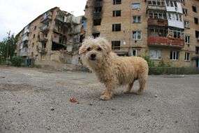 Destruction as a result of hostilities in Gorenka (Kyiv region)