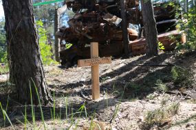 Grave of a Russian soldier near Irpin  (Kyiv region)