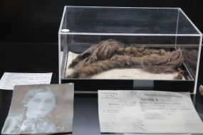 Exposition of archival materials in the memorial complex "Demyaniv Laz"