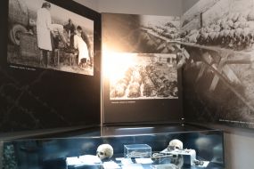 Exposition of archival materials in the memorial complex "Demyaniv Laz"