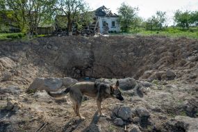 Funnel from a shell in the yard of a house in the village of Kuhari