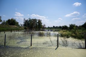 Flooded area in Demidov village