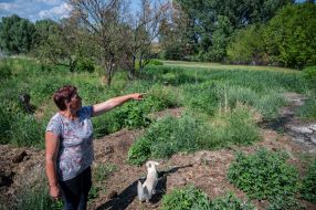 A local resident shows the flooded area of Demidov village