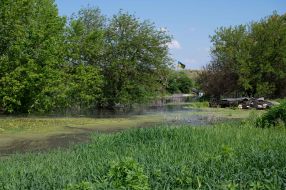 Flag of Ukraine on the territory of the flooded Demidov village