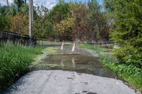 Flooded houses and yards in Demidov