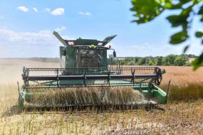 Harvesting of grain crops