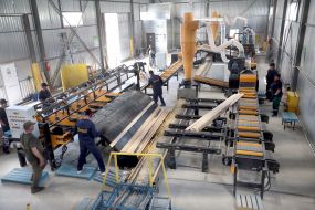 Цех  по переработке древесины