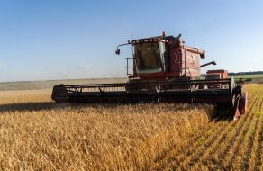 A combine harvester harvests barley in a field in the Kharkiv region