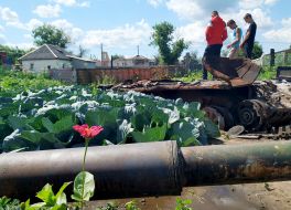Cabbage around the destroyed tank of the Russian invaders in the vegetable garden in the village of Velyka Dymerka