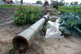 Cabbage around the destroyed tank of the Russian invaders in the vegetable garden in the village of Velyka Dymerka