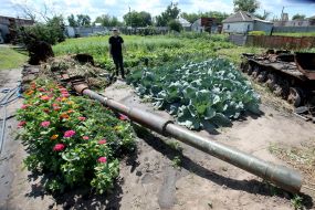 Cabbage around the destroyed tank of the Russian invaders in the vegetable garden in the village of Velyka Dymerka