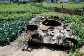 Cabbage around the destroyed tank of the Russian invaders in the vegetable garden in the village of Velyka Dymerka