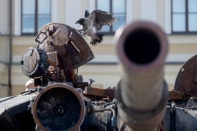 The crow sat on the destroyed Russian military equipment