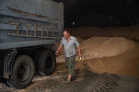 Harvesting wheat in the Kyiv region