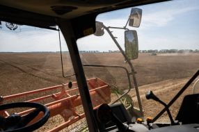 Harvesting wheat in the Kyiv region
