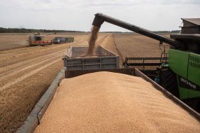 Harvesting wheat in the Kyiv region