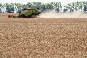 Harvesting wheat in the Kyiv region