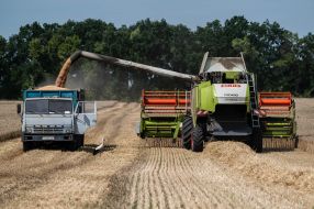 Harvesting wheat in the Kyiv region