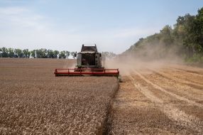 Harvesting wheat in the Kyiv region