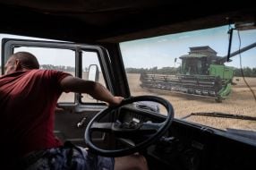 Harvesting wheat in the Kyiv region