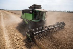 Harvesting wheat in the Kyiv region