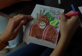 Children draw cards for Gorilla Tony