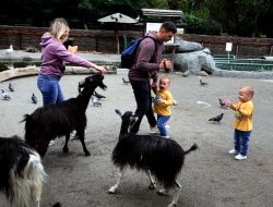 Children and their parents feed goats in the Kyiv Zoo
