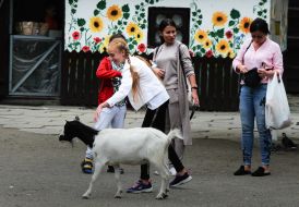 The girl near the goat