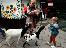 Children and their parents feed goats in the Kyiv Zoo
