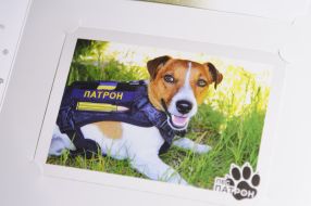 Special redemption of the new postage stamp "Pes Patron" in Lviv