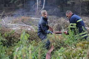Eliminating the fire on the peatland