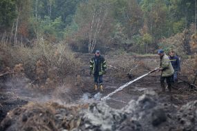 Eliminating the fire on the peatland