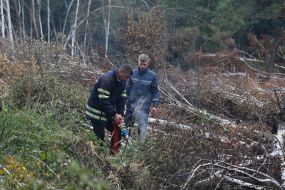 Eliminating the fire on the peatland
