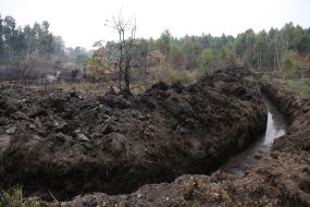 Eliminating the fire on the peatland