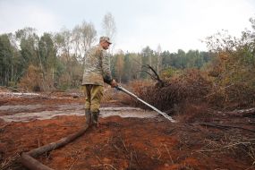 Eliminating the fire on the peatland