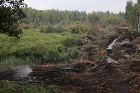 Eliminating the fire on the peatland