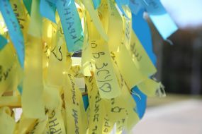 Арт-инсталяция «С Украиной в сердце»