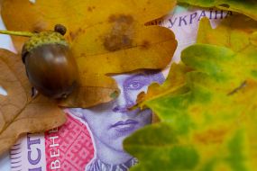 A banknote under the leaves