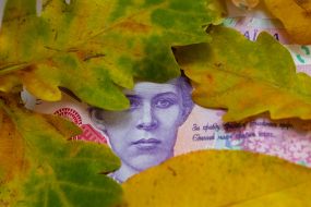 A banknote under the leaves