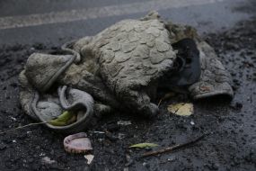 Вставна щелепа на трасі в Харківській області