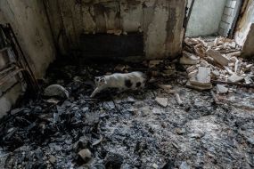 A burned-out apartment in a house damaged by a MLRS salvo