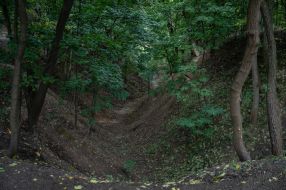 The territory of the National Historical and Memorial Reserve "Babyn Yar"