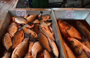 Живая рыба на рынке в Киеве